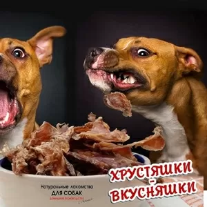 Сушеное кроличье и говяжье мясо для собак. По оптовым ценам в розницу!